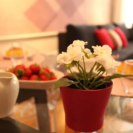 Apartamento New - Mouzinho